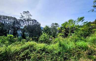 Imagem 12: Terreno para Venda em Nova Petrópolis, Pousada da Neve