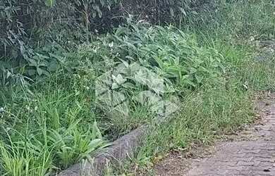 Imagem 2: Terreno com 517,04 m2 em área nobre na serra gaúcha por R$ 540.600,00