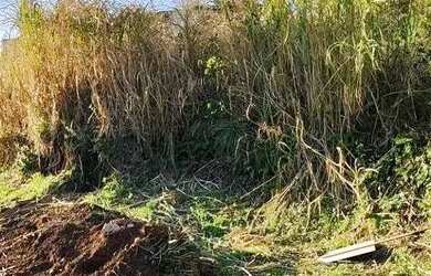Imagem 3: Terreno à Venda em Gramado