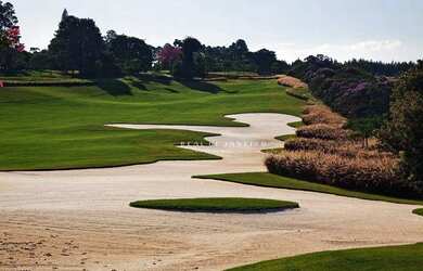 Imagem 11: Terreno no Village Boa Vista com 2554 m²