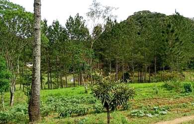 Imagem: A chácara possui 12400m² de Área, Churrasqueira, Área de