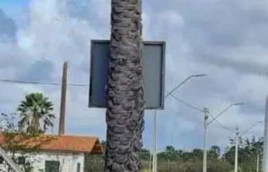 Imagem: O terreno possui 125m² de Área e está localizado em Piratininga