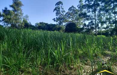 Imagem: A fazenda possui 20000m² de Área e Imóvel novo e está localizado