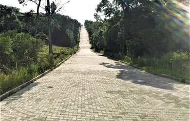 Imagem 3: Lindo terreno plano. 385m² de Área