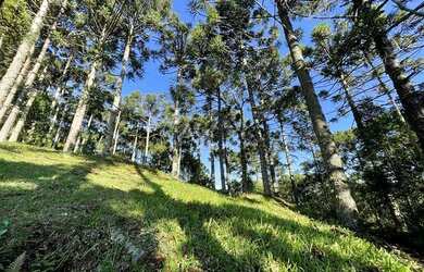 Imagem: O terreno possui 1.182m² de Área e está localizado em Gramado