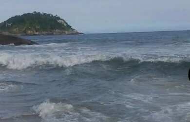 Imagem: O terreno à venda possui e está localizado em Barra de São