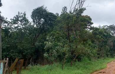 Imagem: O terreno possui 12.275m² de Área e está localizado em Jardins