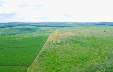 Imagem: A fazenda possui 2.630.000m² de Área e está localizado em