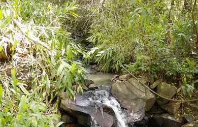 Imagem 10: Sitio - Bairro Linha 28. 160m² de Área