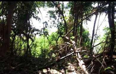 Imagem: A fazenda possui 1m² de Área e está localizado em Aparecida