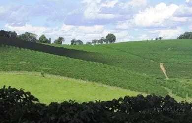 Imagem 4: Linda fazenda para venda em Bom Sucesso MG