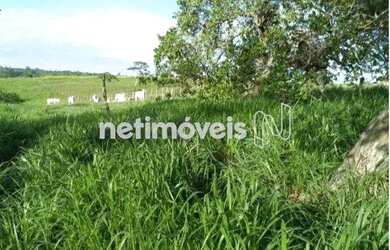 Imagem 6: Venda Fazenda Fazenda Exemplo Cachoeira