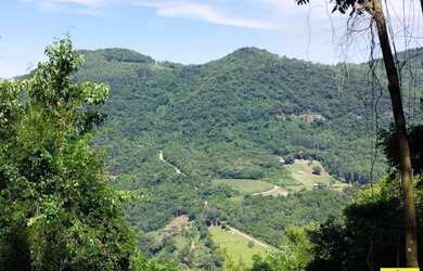 Imagem 6: Sítio / Chácara para Venda em Nova Petrópolis, Linha Olinda