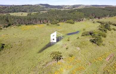 Imagem 7: Área rural com 67 ha, casas, açude e pinus