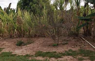 Imagem 5: Vende-se uma excelente fazenda de 149.9 hectares