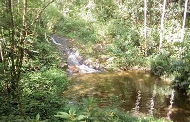 Imagem 12: 20 mil MTS rico em agua 79 mil reais 14 km da rodovia Regis Bittencourt