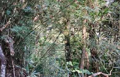 Imagem: O terreno possui 1.095m² de Área e está localizado em Jardim