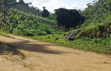 Imagem 14: Vendo Excelente Fazenda Em Gandu