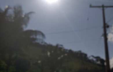 Imagem 13: Vendo Excelente Fazenda Em Gandu