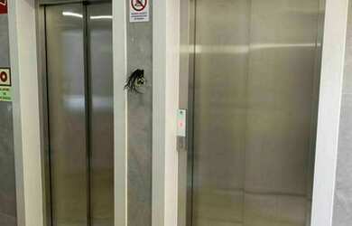 Imagem 14: Apartamento à venda no bairro Caminho das Árvores - Salvador/BA