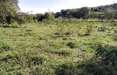 Imagem: O terreno está localizado em Piracema, MG à venda por R$125.000