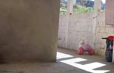 Imagem 2: Vendo ou troco. 176m² de Área, 2 Vagas na garageme3 Dormitórios