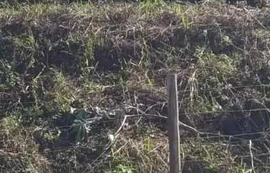 Imagem 4: Terreno á venda em Caxias do Sul, bairro Charqueadas