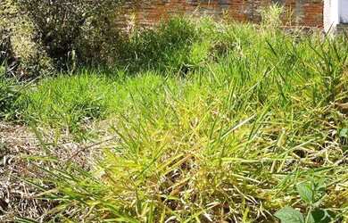 Imagem: O terreno possui 60m² de Área e está localizado em Parque