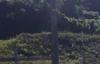 Imagem 3: Terreno á venda em Caxias do Sul, bairro Charqueadas