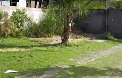 Imagem 3: Casa - Piratininga. 45m² de Área, 2 Banheirose1 Dormitório