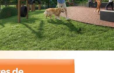 Imagem 3: Lançamento de Terrenos no Terras Alpha 3 em Cascavel Preço a divulgar