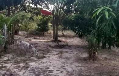 Imagem 2: VENDE-SE UMA CASA EM CURUÇÁ COM 4 SUÍTES