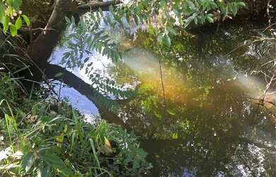 Imagem: A fazenda e está localizado em Fundinho, Uberlândia à venda