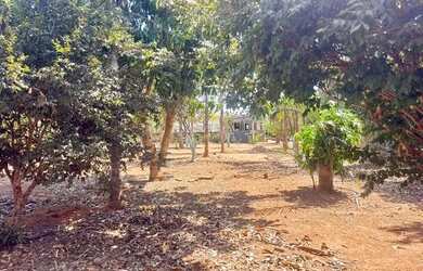 Imagem 13: Chácara em Condomínio Recanto da Mata Bela Vista de Goiás