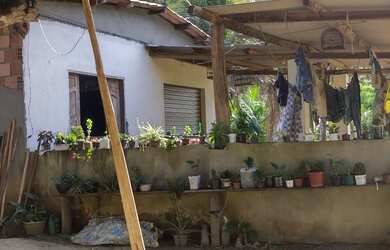 Imagem 4: Vendo Excelente Fazenda Em Gandu