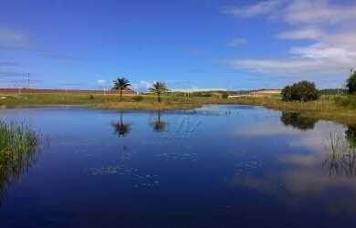 Imagem 2: Terreno Nobre no Condomínio Jardins Veneza - Vila Velha, ES