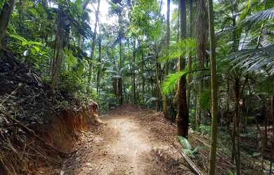 Imagem: A fazenda possui 35000m² de Área e está localizado em Paraju