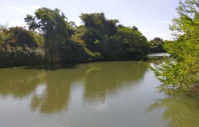 Imagem: A fazenda possui 20.000m² de Área e está localizado em Jaraguá