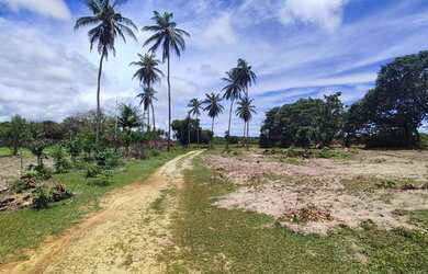 Imagem 9: Lotes Na Praia Do Presidio Ao Lado Do Resort Riviera Tamanohos 6X30 E...