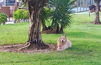 Imagem: A casa possui 4 Dormitórios, 5 Banheiros, 2 Vagas na garagem