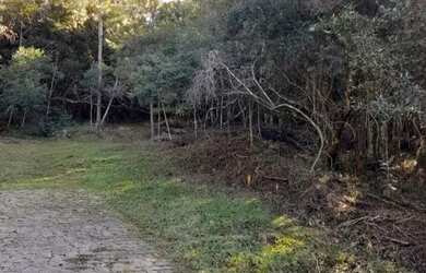 Imagem 6: CAXIAS DO SUL - Terreno Padrão - MONTE BÉRICO