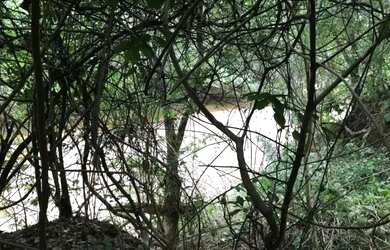 Imagem 14: Sítio 24,7 ha em Unaí/MG - Água Permanente, Casa, Pastos - Aceita Financiamento