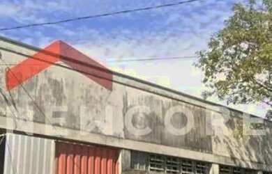 Imagem 8: Galpão em Rua Francisco Palma Travassos - Jardim Magalhães - São João...