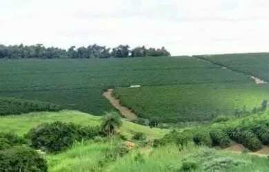 Imagem 2: Linda fazenda para venda em Bom Sucesso MG