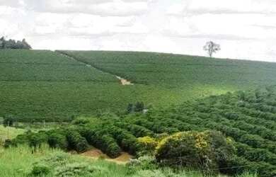 Imagem 7: Linda fazenda para venda em Bom Sucesso MG