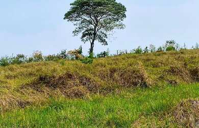 Imagem 8: Lote 500m² em condomínio fechado Natureza, lazer e valorização garantida