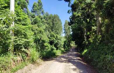 Imagem 4: Sítio / Chácara para Venda em Nova Petrópolis, Linha Brasil Fundos