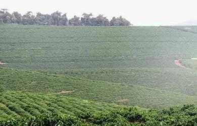 Imagem: A casa possui 4 Dormitórios, 4 Banheiros, 50000000m² de Área