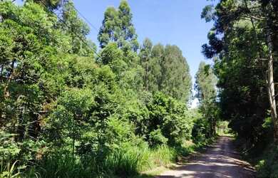 Imagem 3: Sítio / Chácara para Venda em Nova Petrópolis, Linha Brasil Fundos