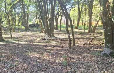 Imagem 13: Terreno em São Virgílio, Caxias do Sul